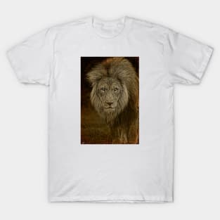 The Old Lion T-Shirt